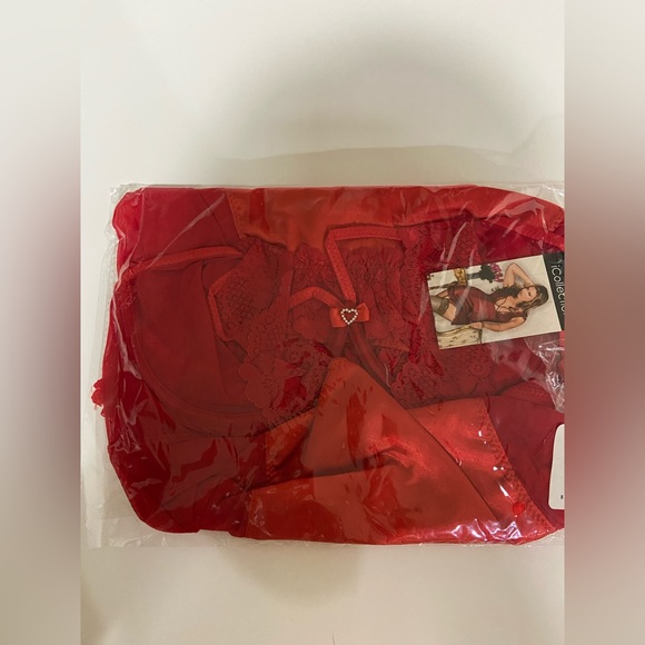 NWT iCollection Red Mesh and Satin Garter Chemise and G-String - Size 1X/2X - Picture 3 of 3